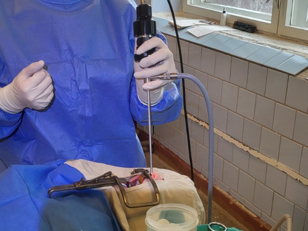Майстер-клас на тему «Передопераційна підготовка та проведення аденотомії у дітей».