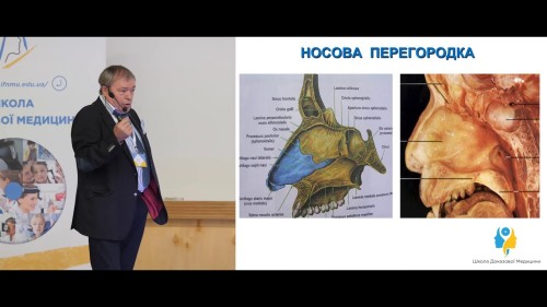 Відіотека