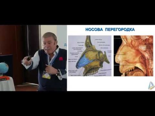 Відіотека