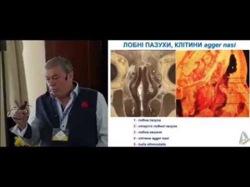 Відіотека.