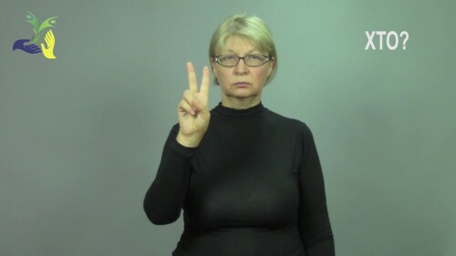Відіотека