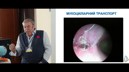 Відіотека