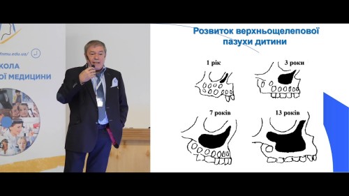 Відіотека