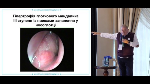 Відіотека