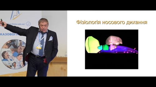 Відіотека.