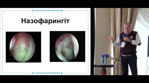 Відіотека