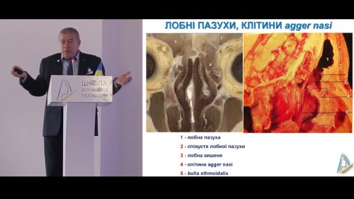 Відіотека
